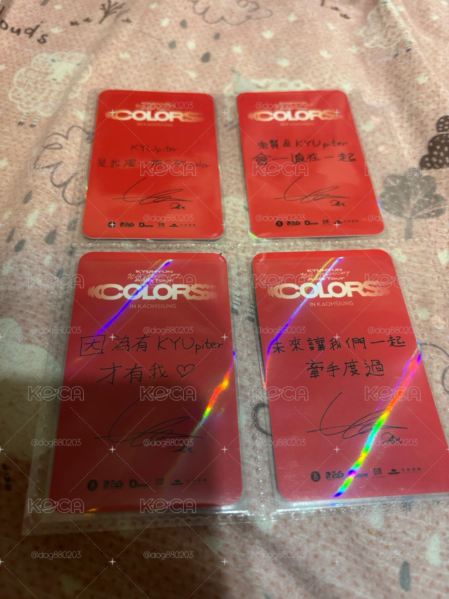10週年亞巡 高雄 入場卡 / 場限卡 