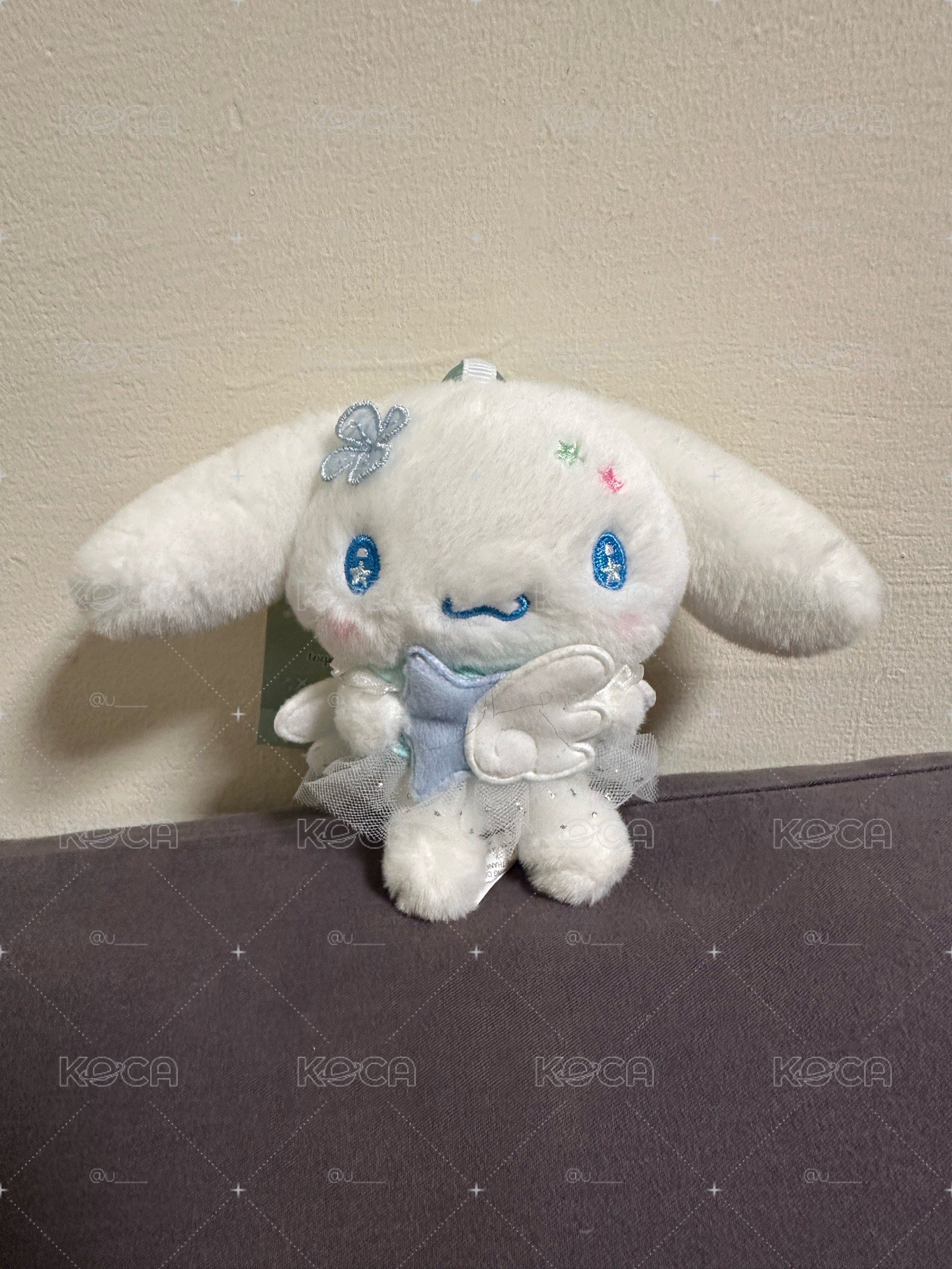 大耳狗