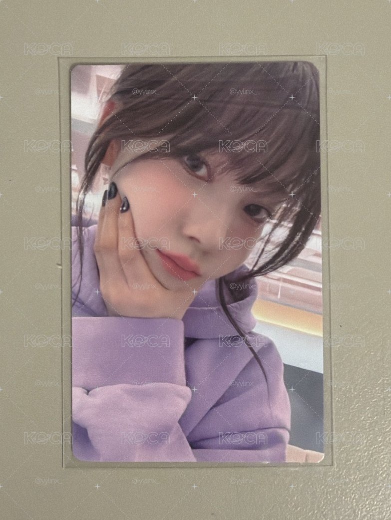 葡萄柚
