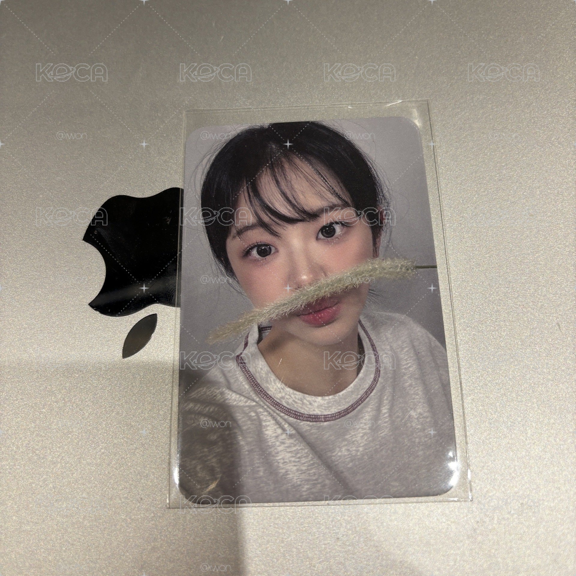 QWER 迷三DMM 狗尾巴草 丹