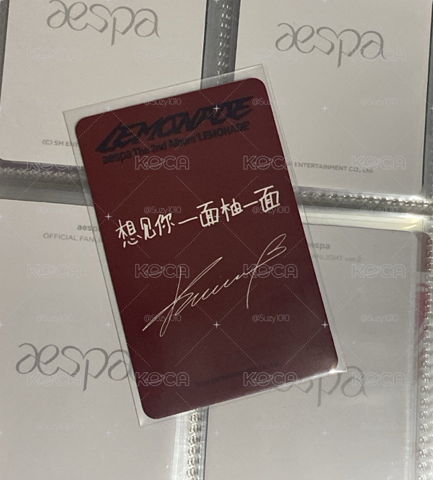 *想見你一面柚一面* 星河中背