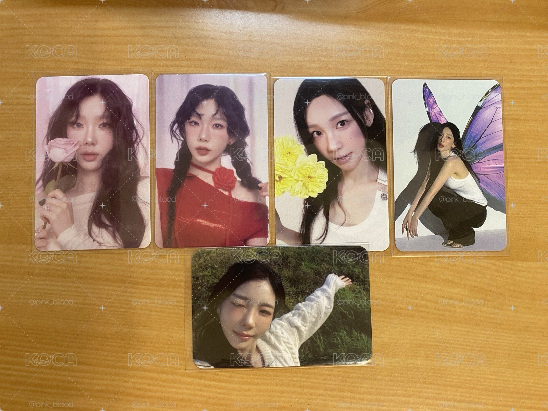 金太妍🦋 小盤