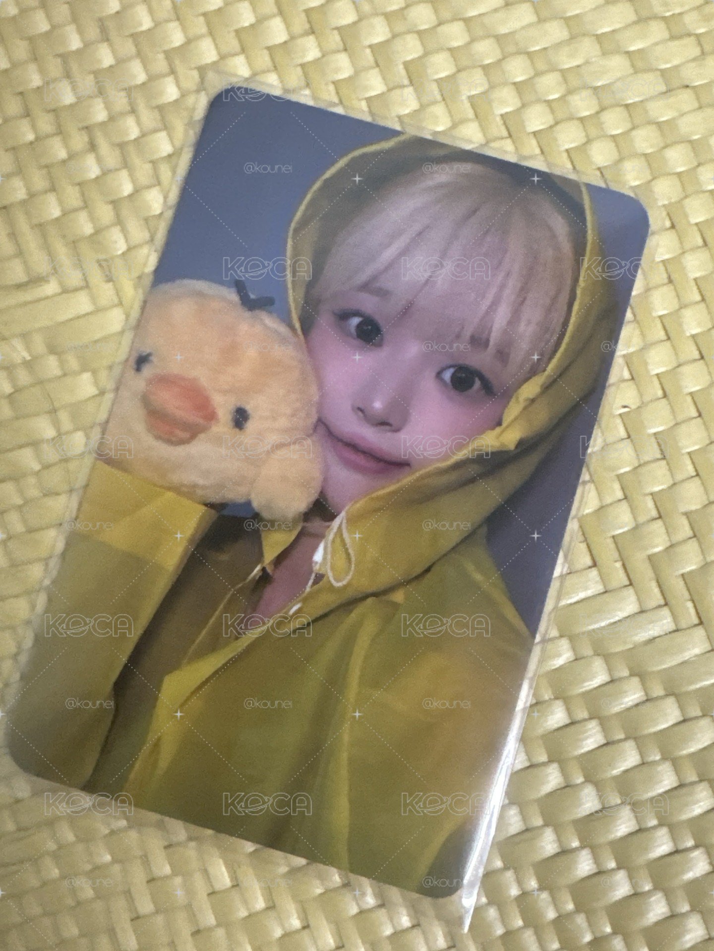 雨衣小雞丹