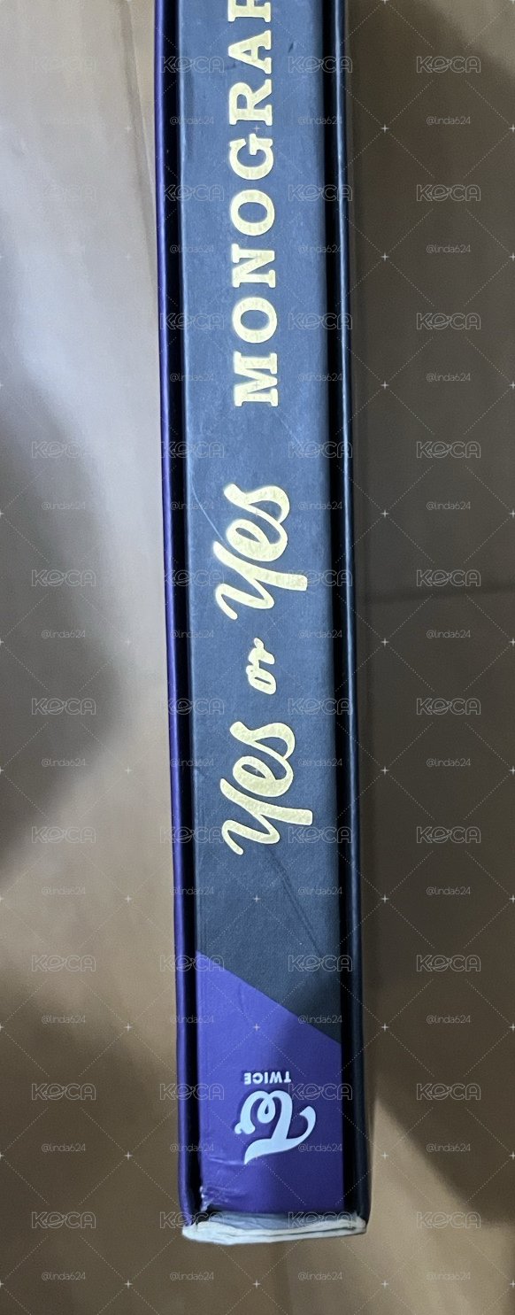 twice yes or yes monograph 空專