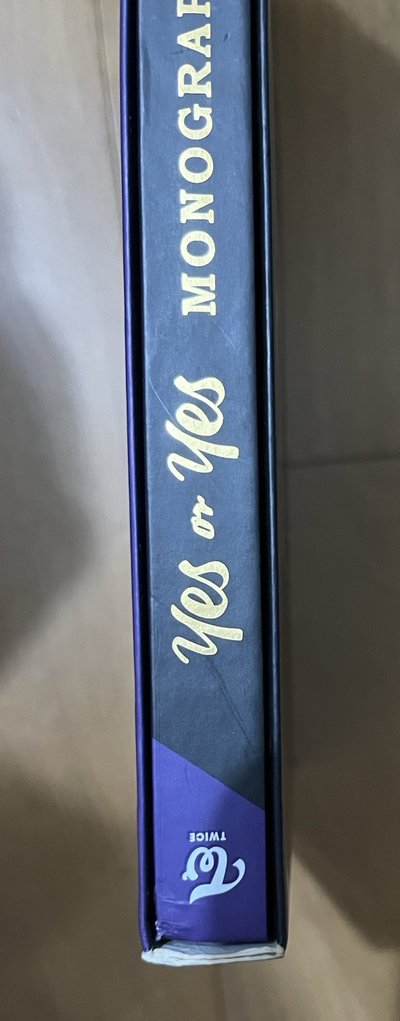 twice yes or yes monograph 空專