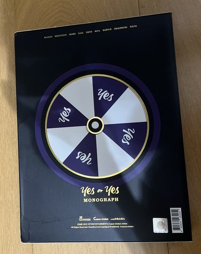 twice yes or yes monograph 空專