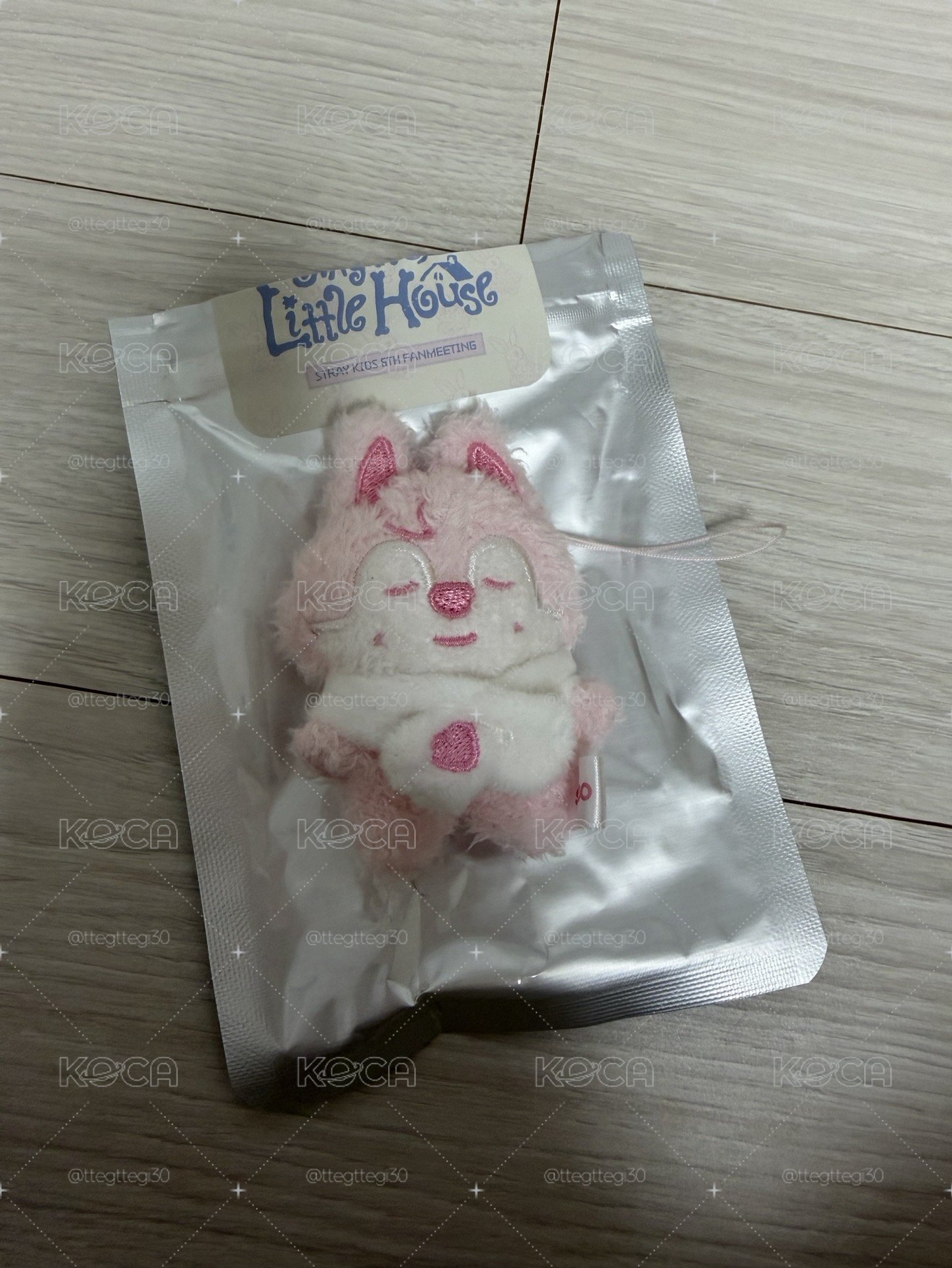 六期飯咪草莓娃-燦旻彬辰玟寅（一隻送一張滿額）