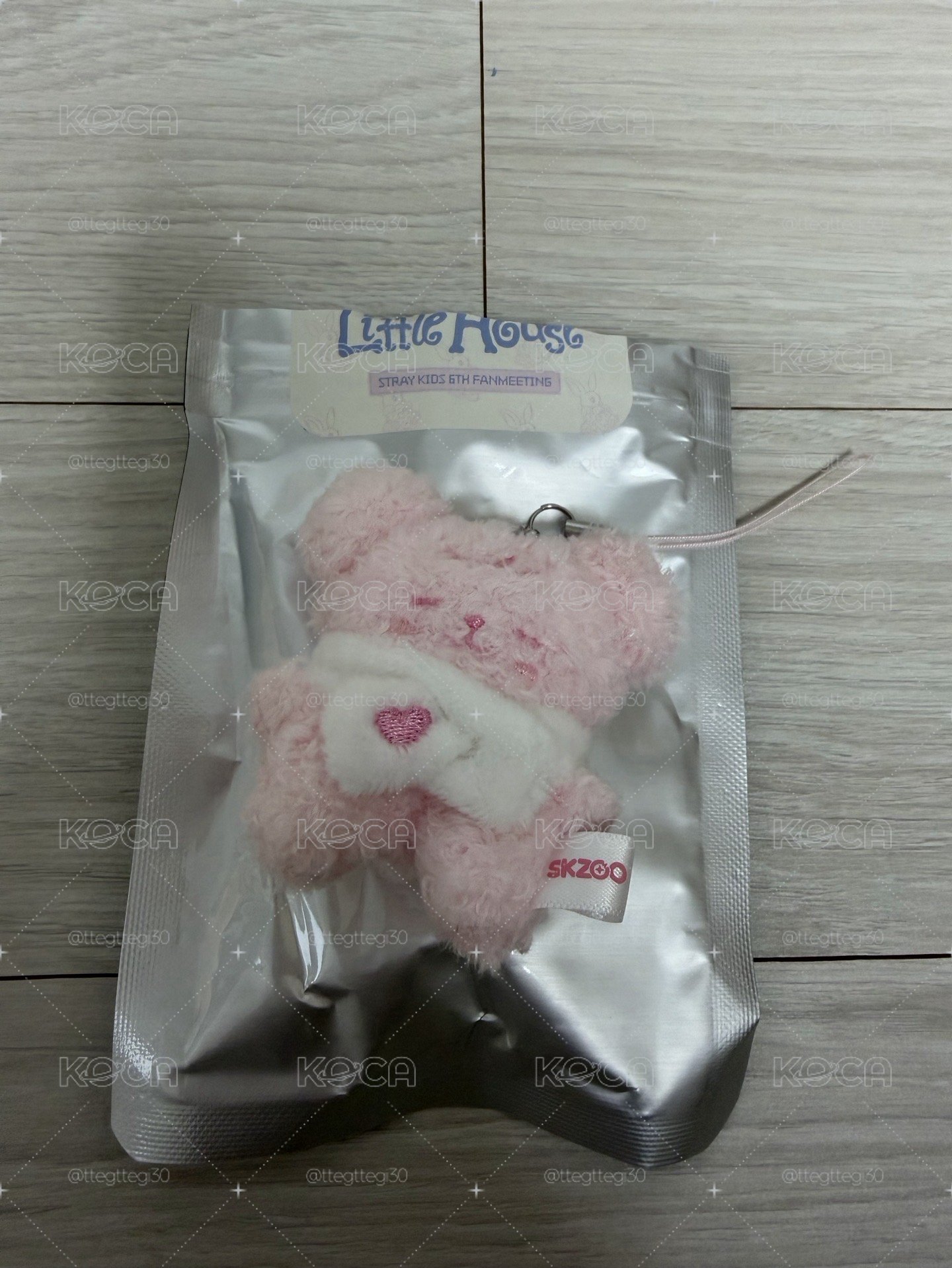 六期飯咪草莓娃-燦旻彬辰玟寅（一隻送一張滿額）