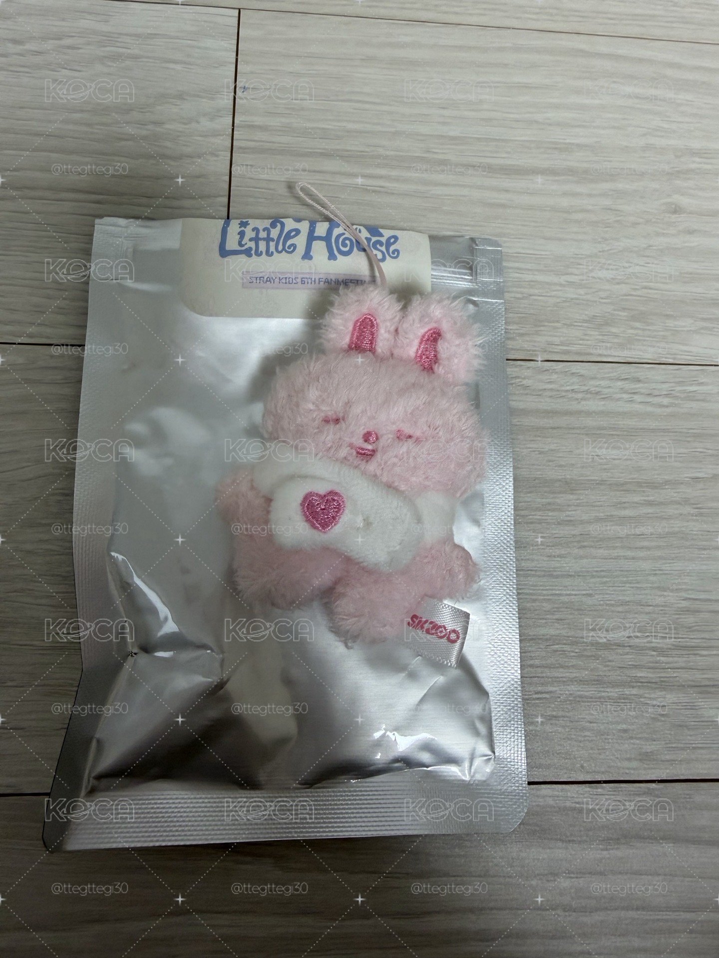 六期飯咪草莓娃-燦旻彬辰玟寅（一隻送一張滿額）