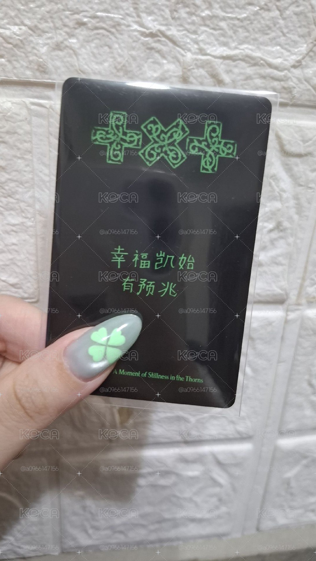 小🍺窩寧