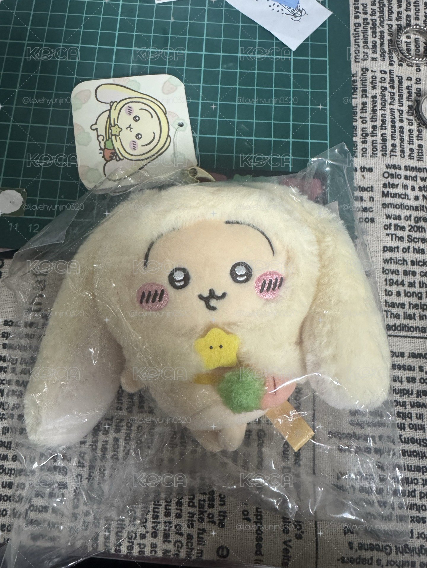 台灣限定兔兔