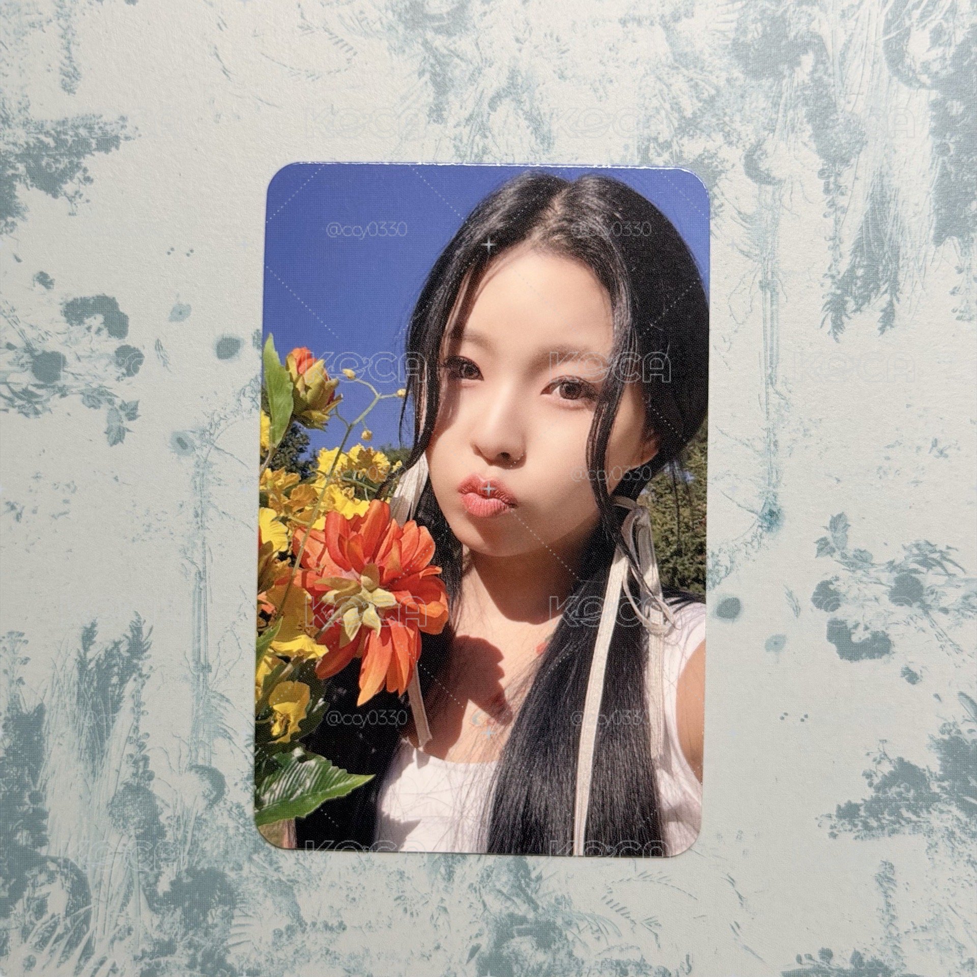 NMIXX 我是Q金小貓