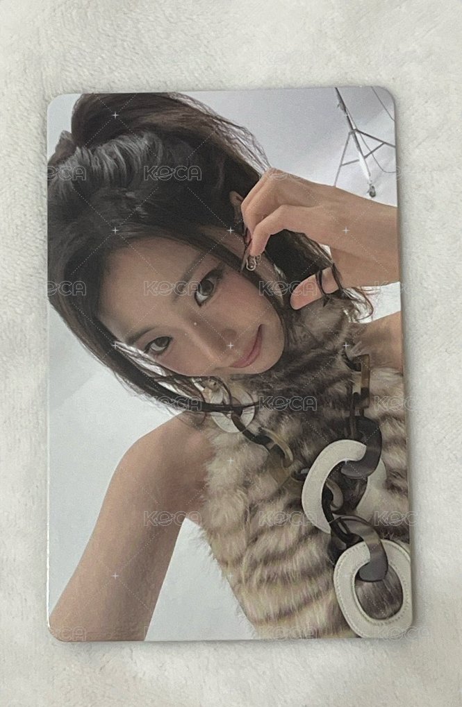 單封專輯卡