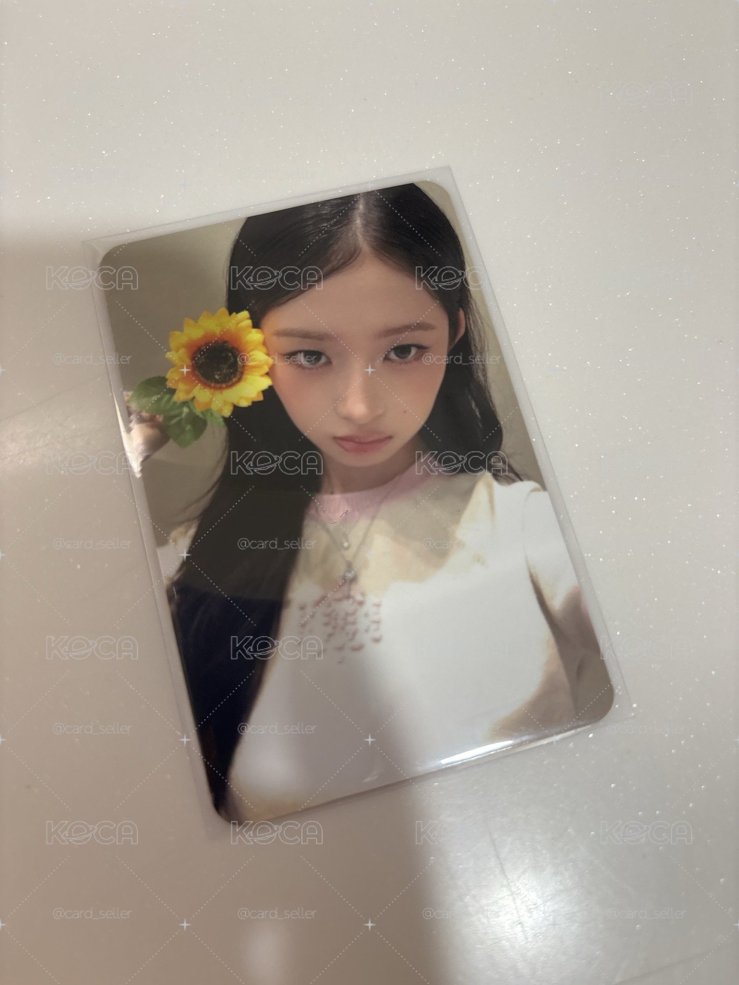 二星怜