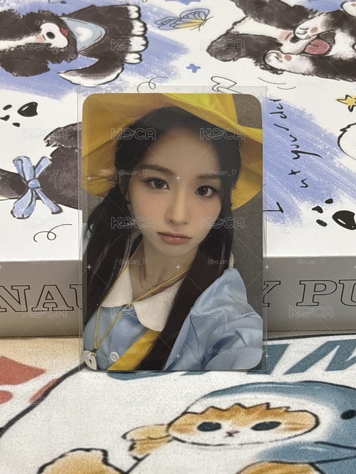 STICK OUT sw 5.0 簽售卡 幼稚園薛