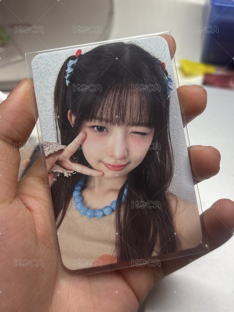 藍莓怜
