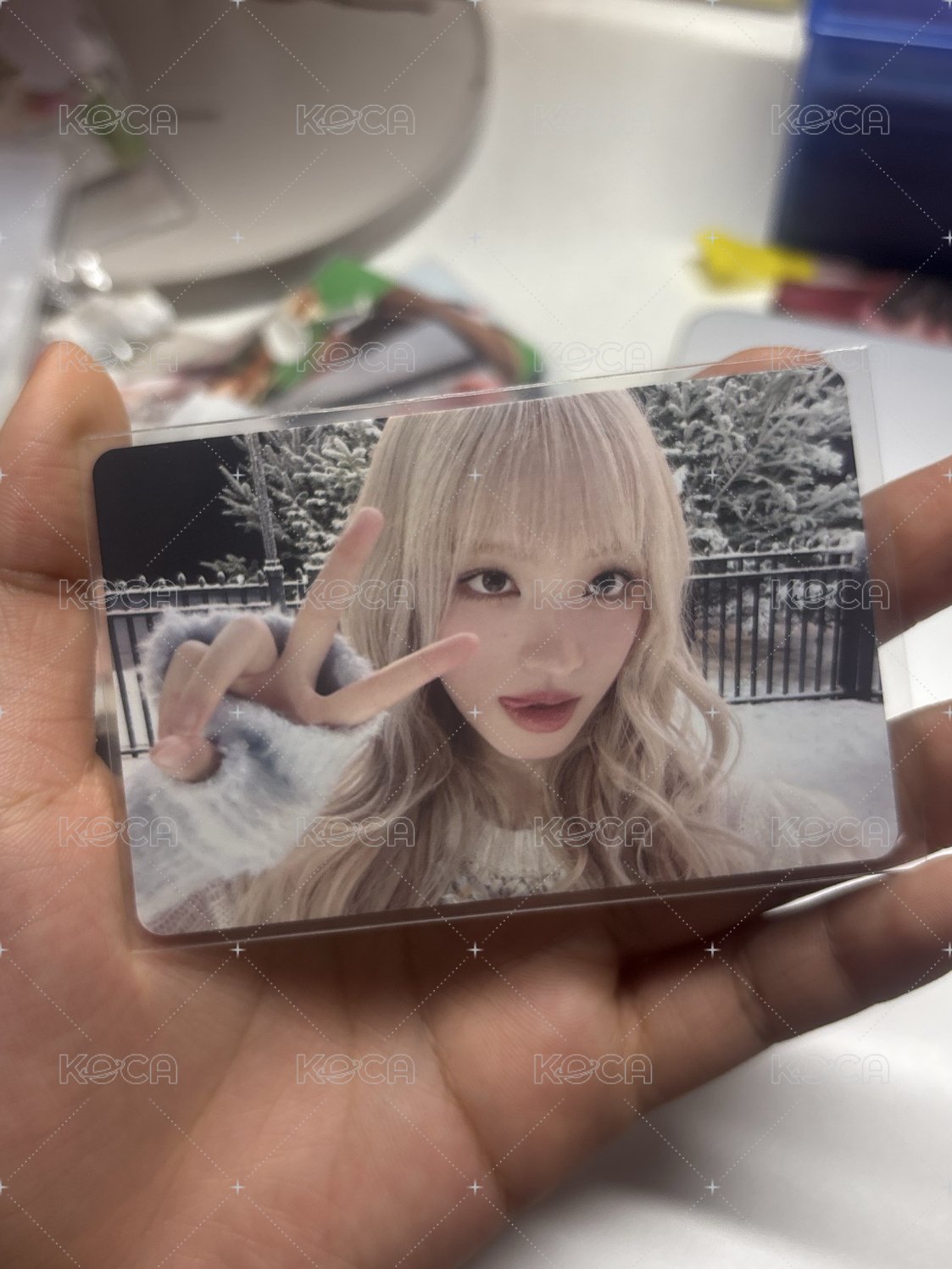 專卡栗3