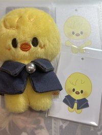 菲魔法娃