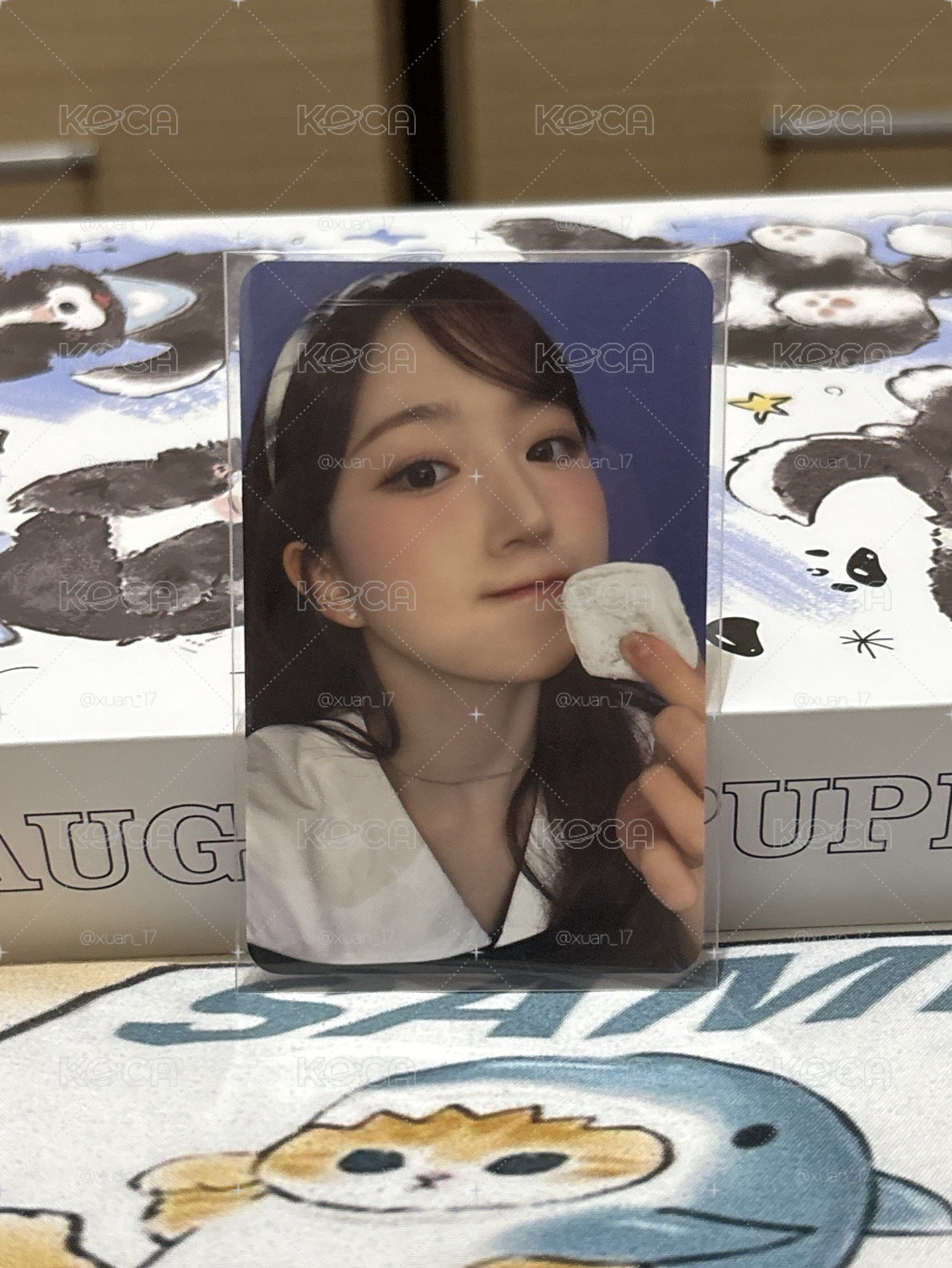 FORWARD ms 團簽 15.0 簽售卡 鬆軟