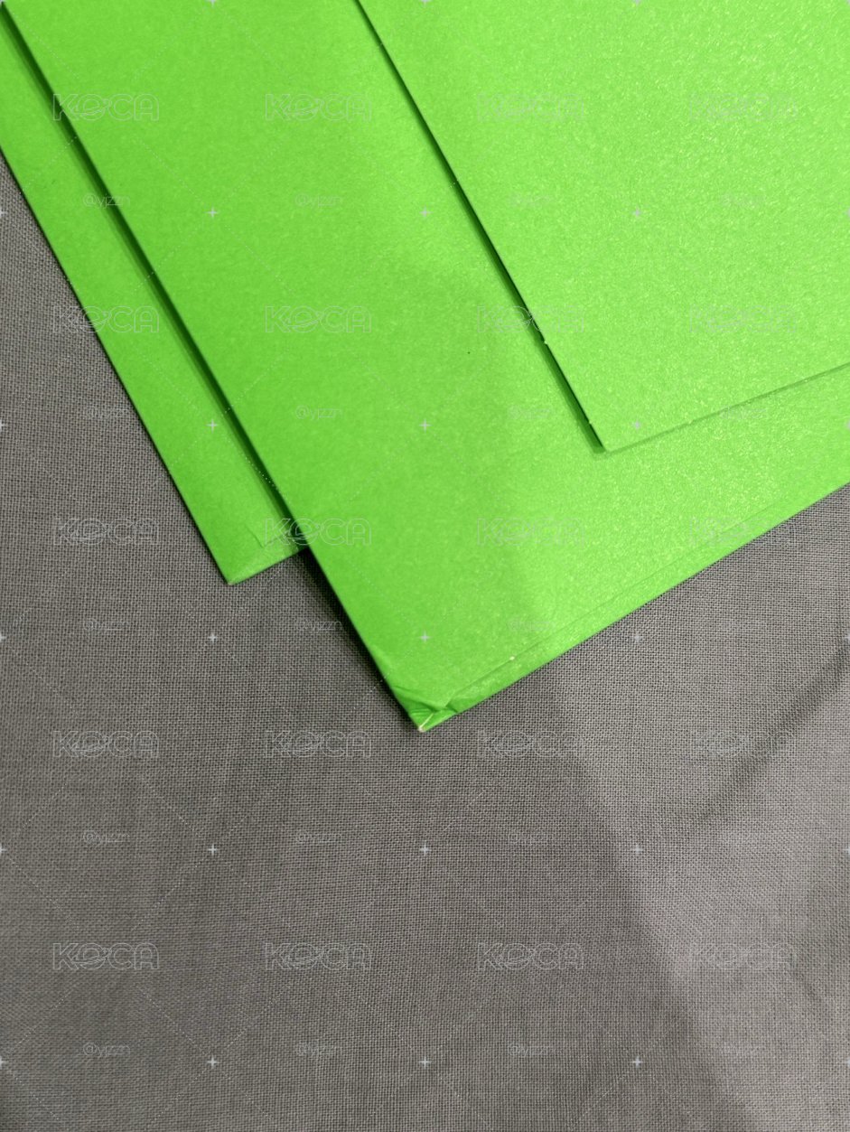 迷八單封 已拆確認成員 有小卡💚
