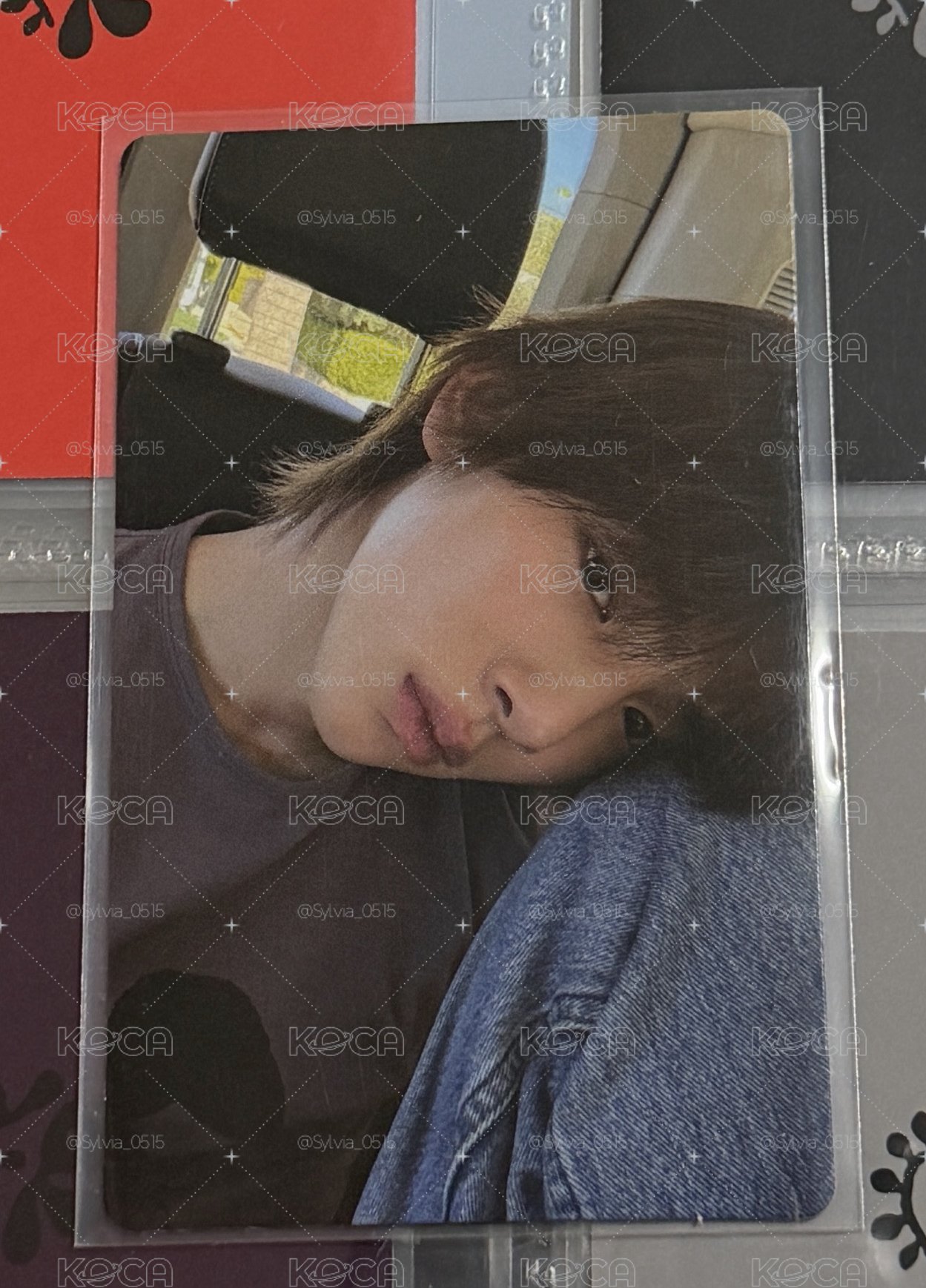 豬豬