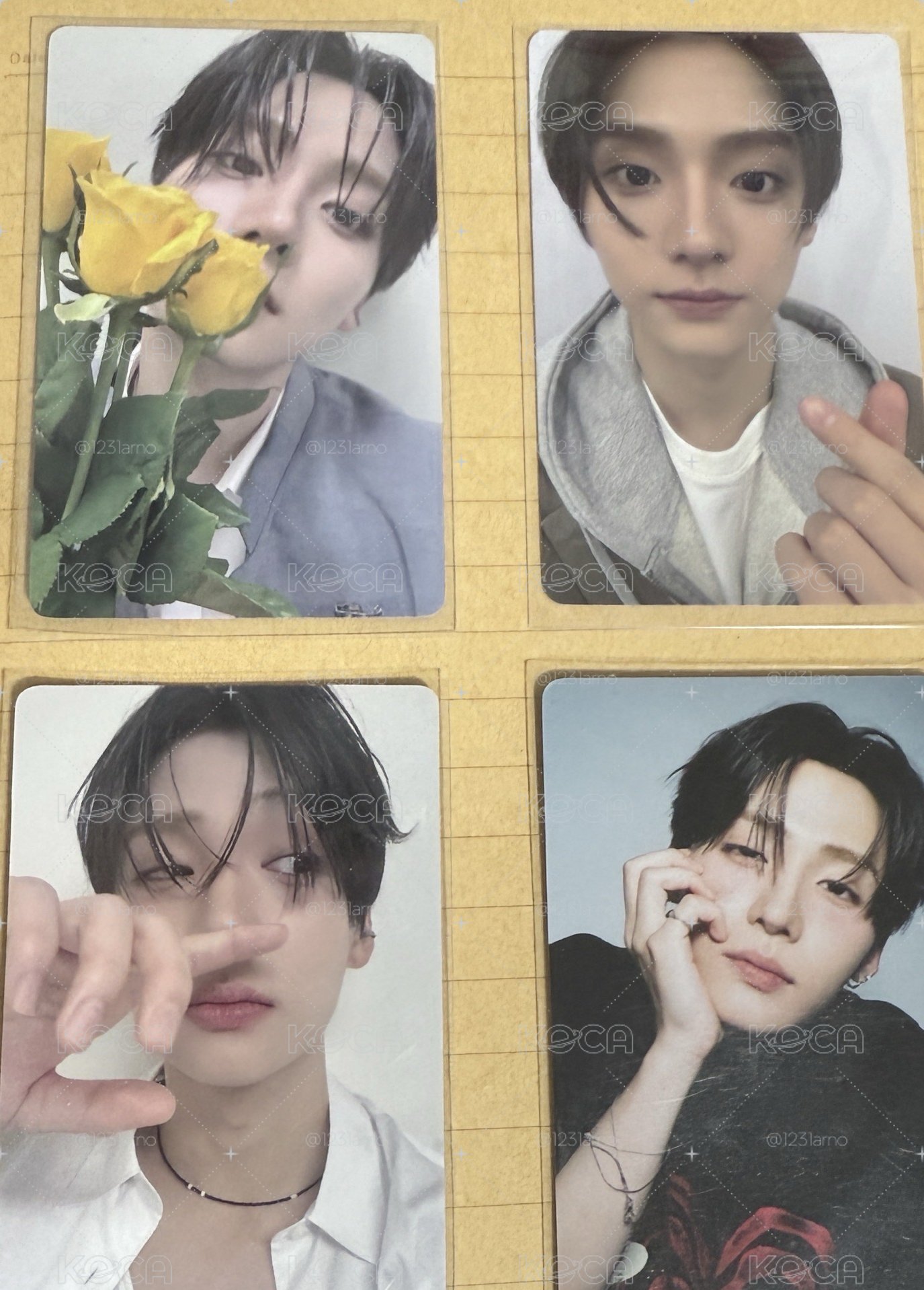 相沅展會 小盤