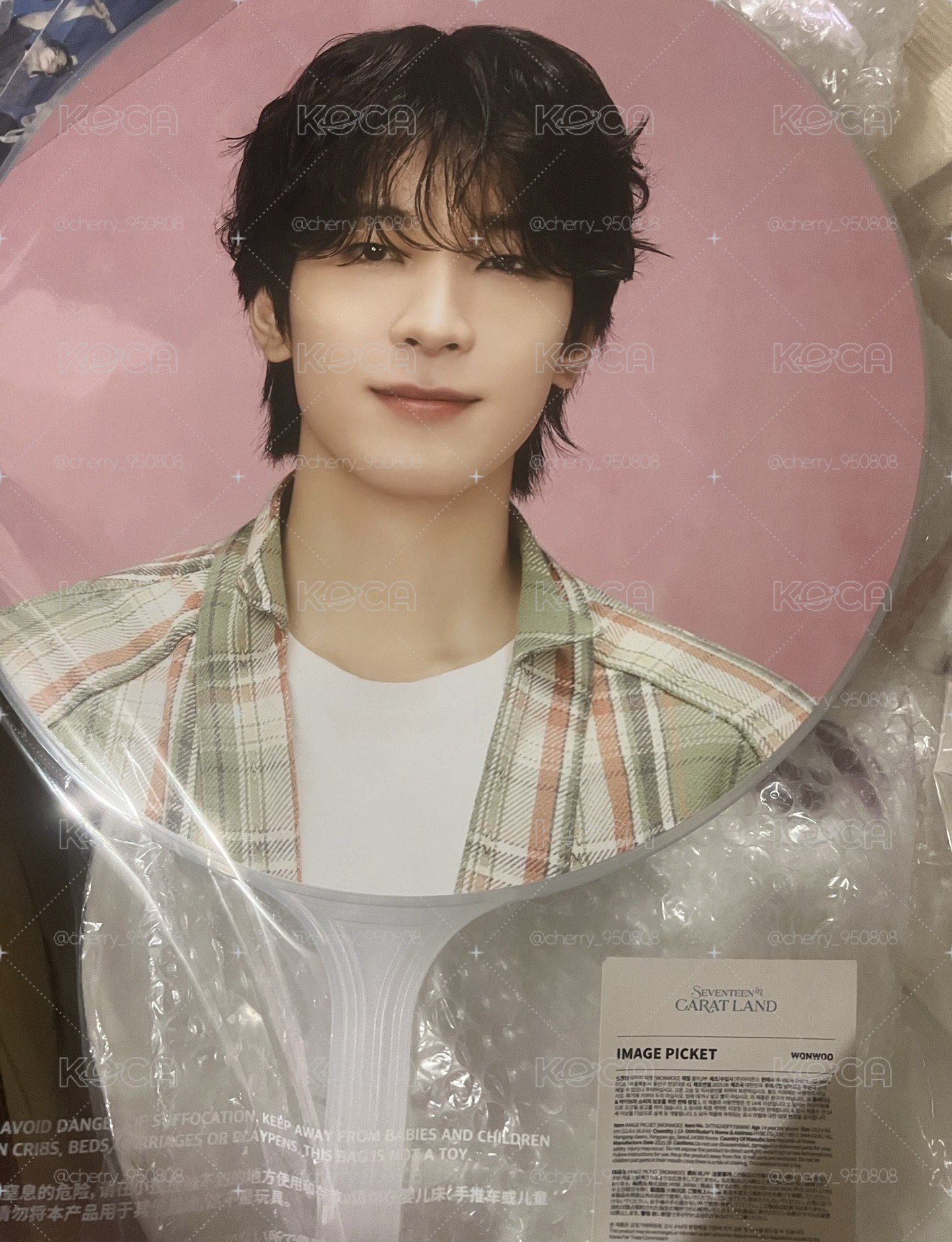 SEVENTEEN 全圓佑 24克拉島大扇