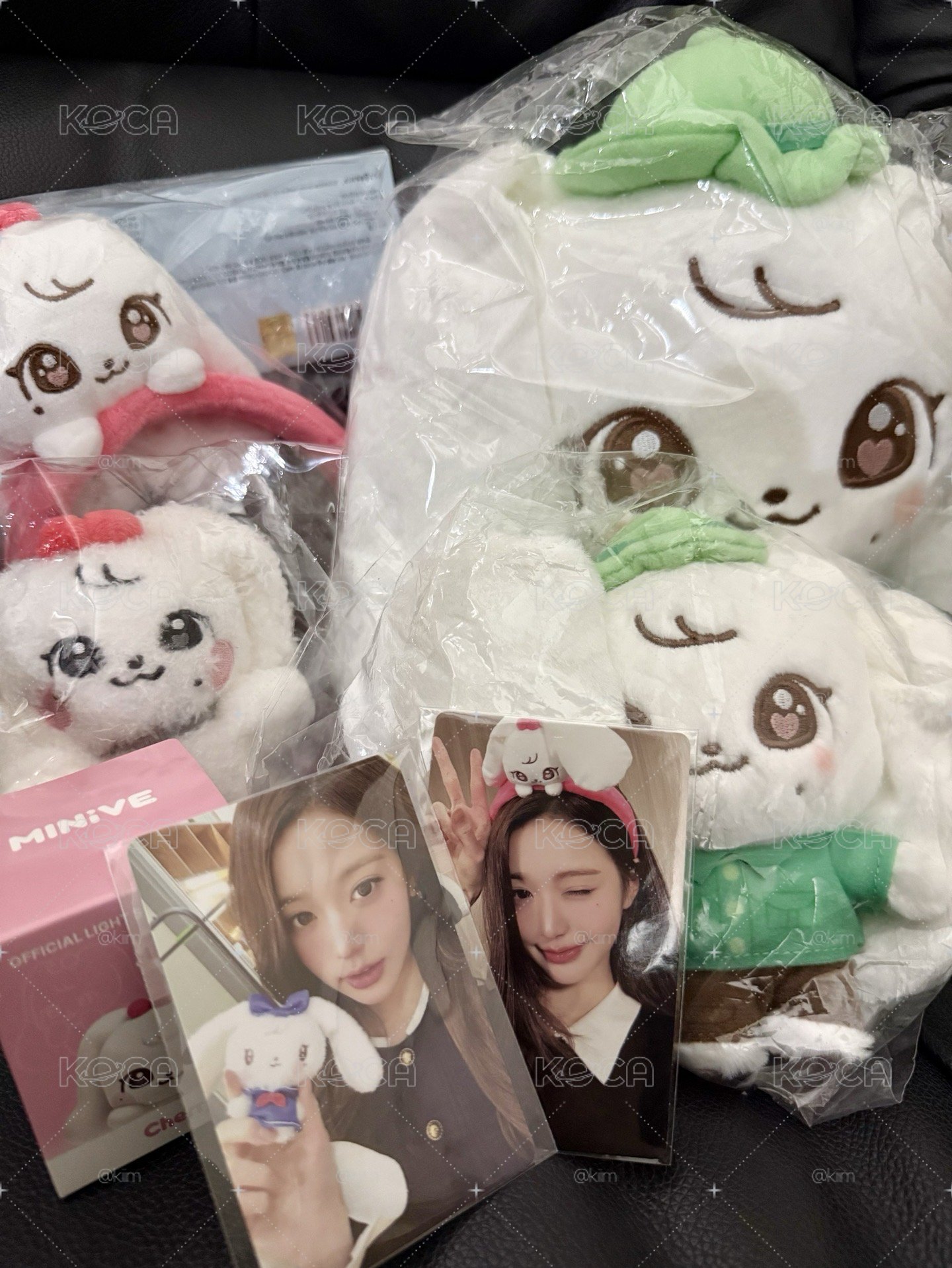 MINIVE x CHERRY 小員🐰