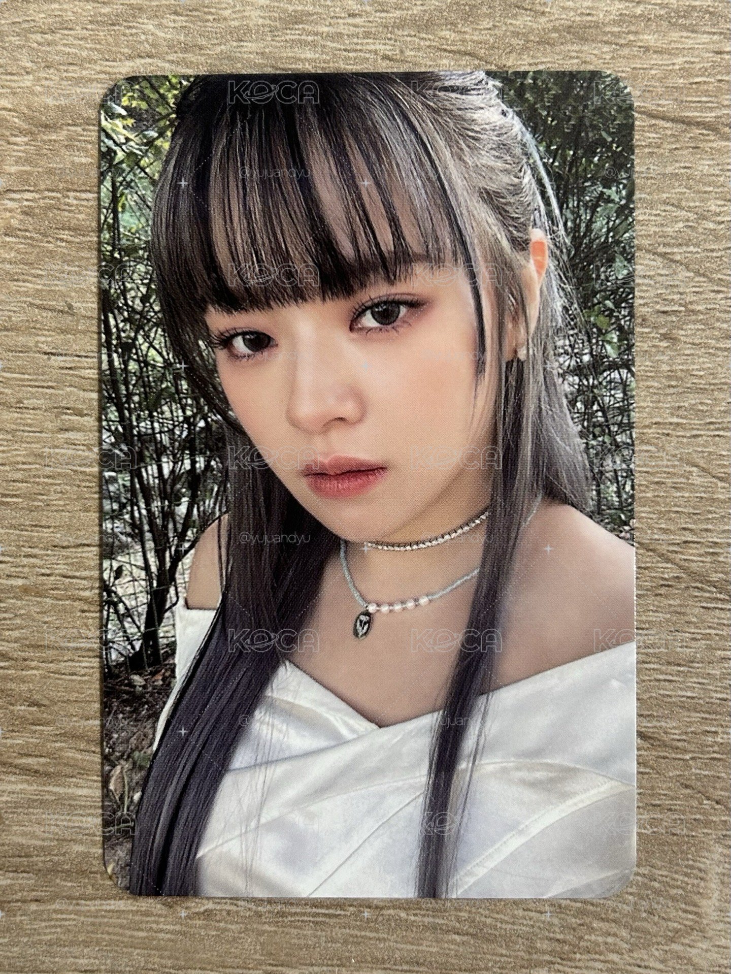 綠背定