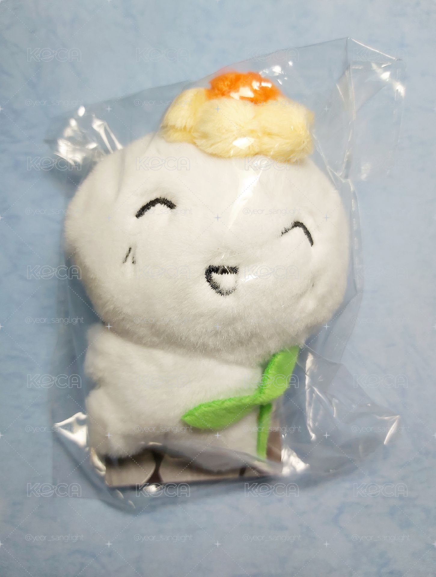 呂尚飯咪生日娃