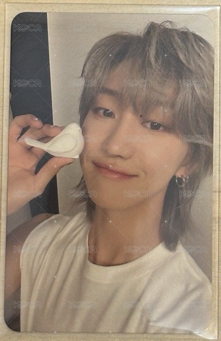 精選專克拉盤小鳥
