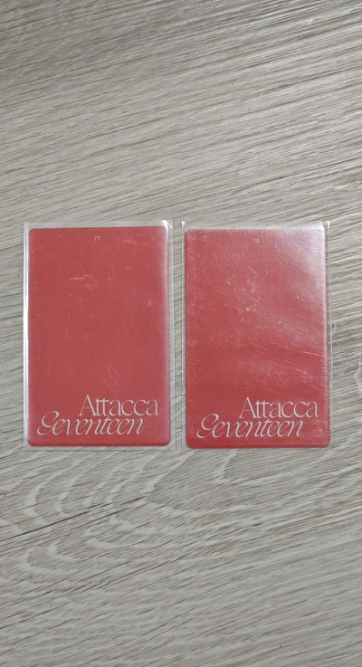 兩張燦尼只要1美金