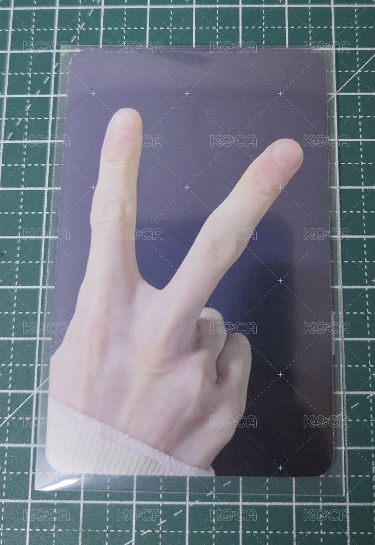 A1