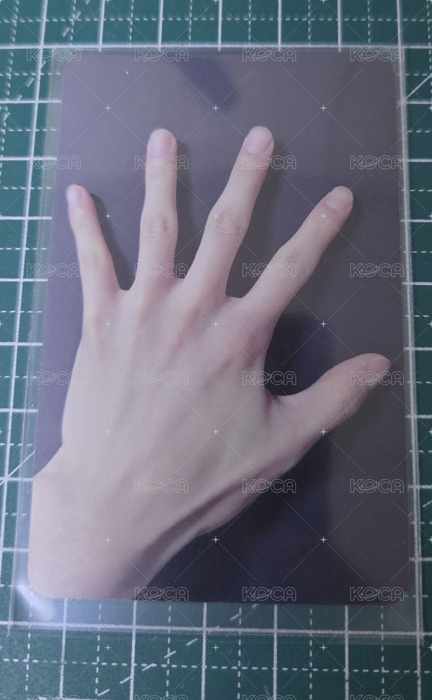 B1
