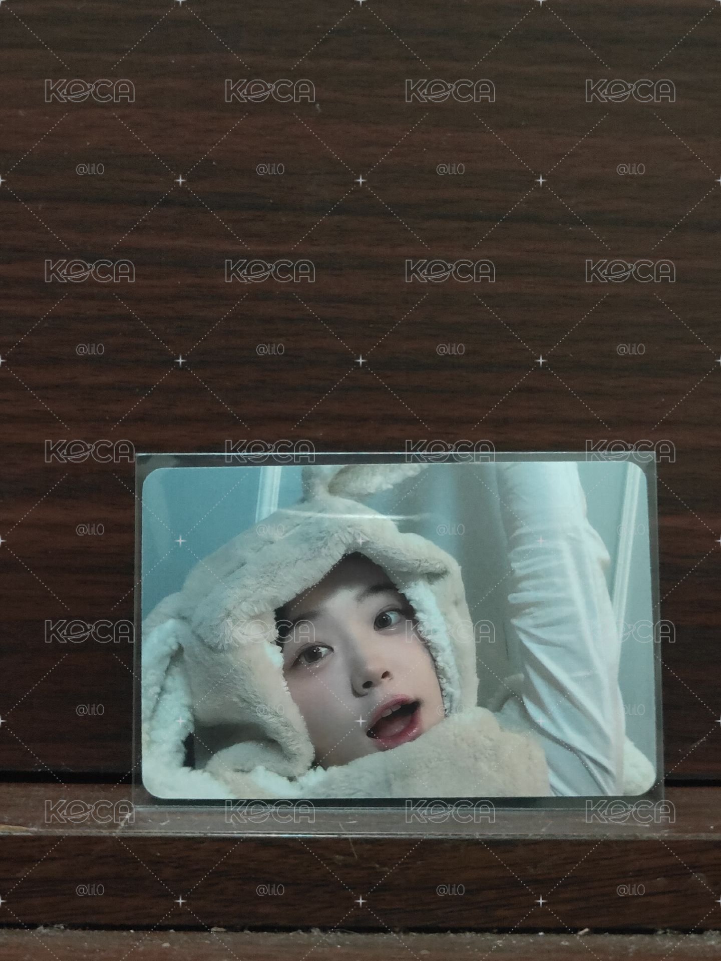 兔毯丹