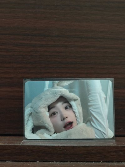 兔毯丹