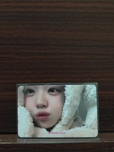 兔毯丹