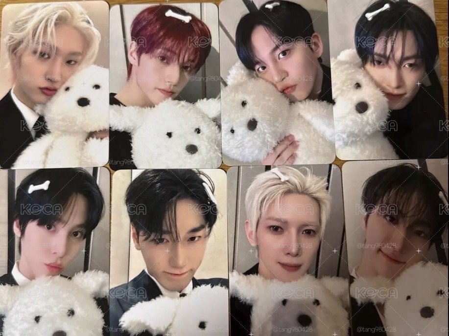 ATEEZ hl小白狗一套