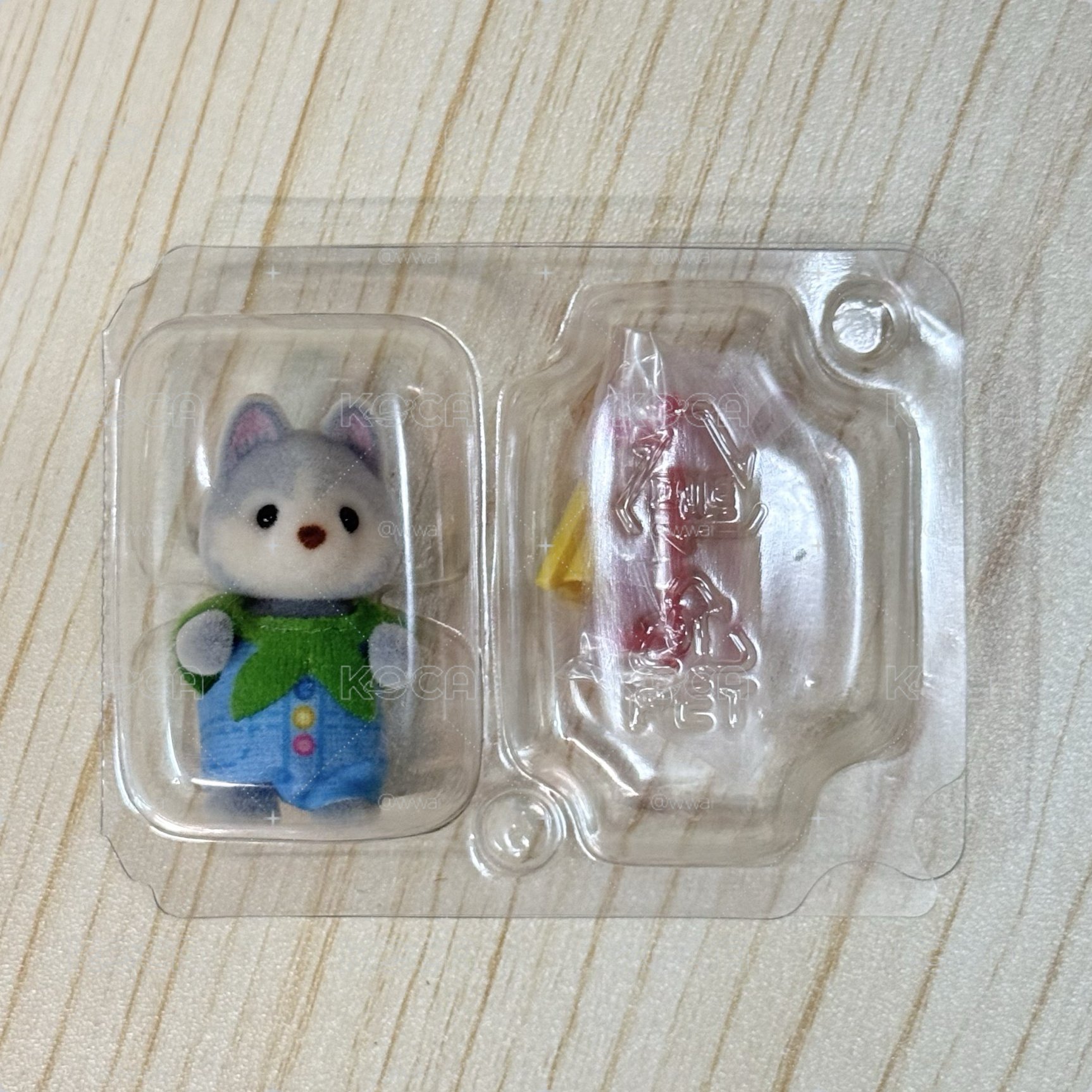 ꒰ 坐到油漆的哈士奇寶寶 ꒱
