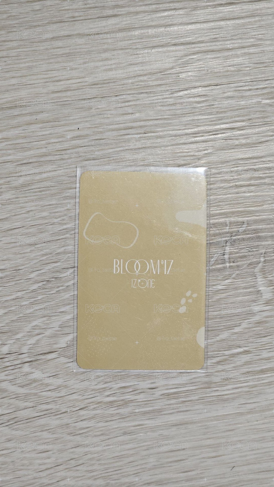 IZ*ONE 櫻🌸