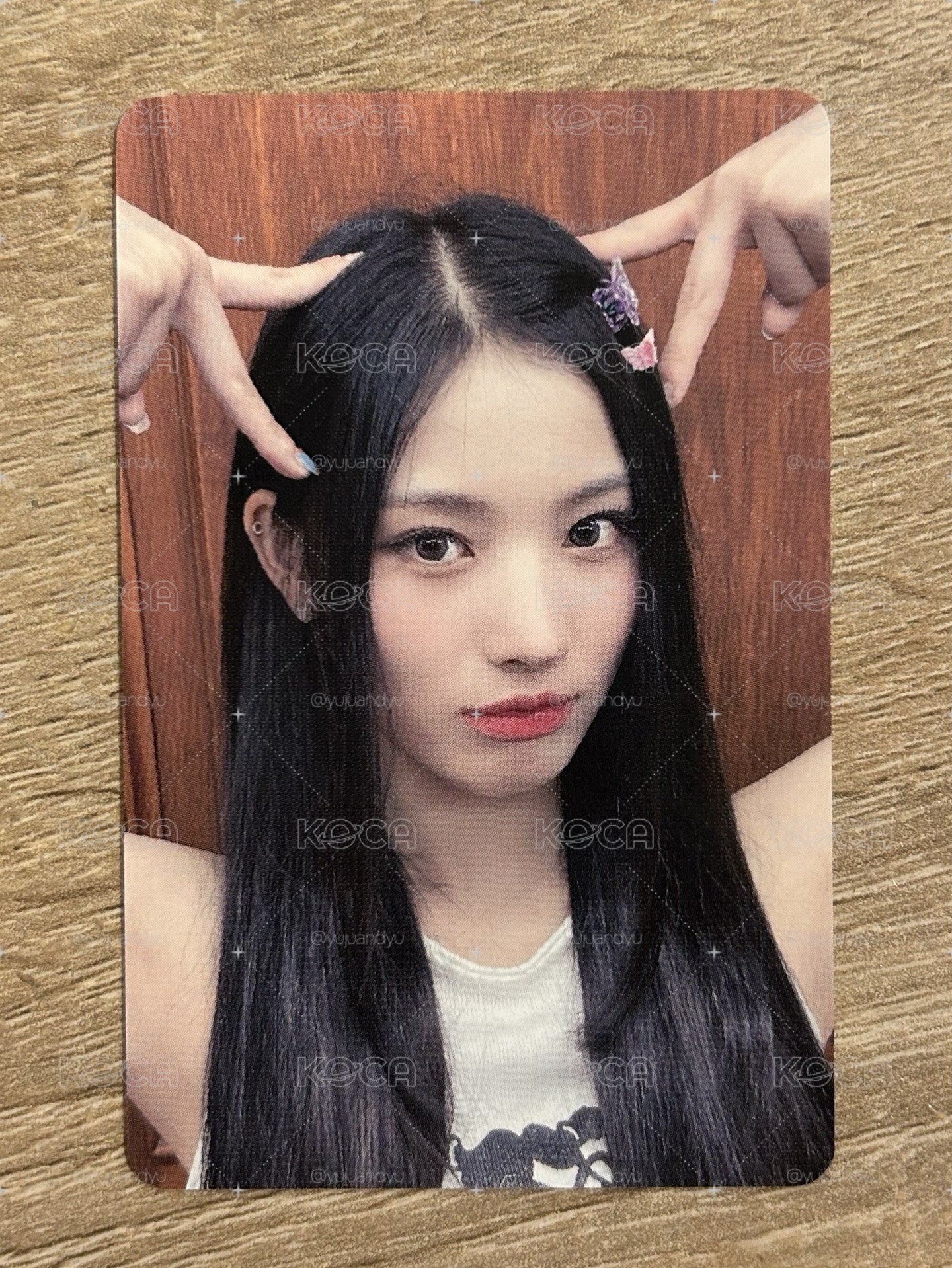 Dice貓耳 Jini