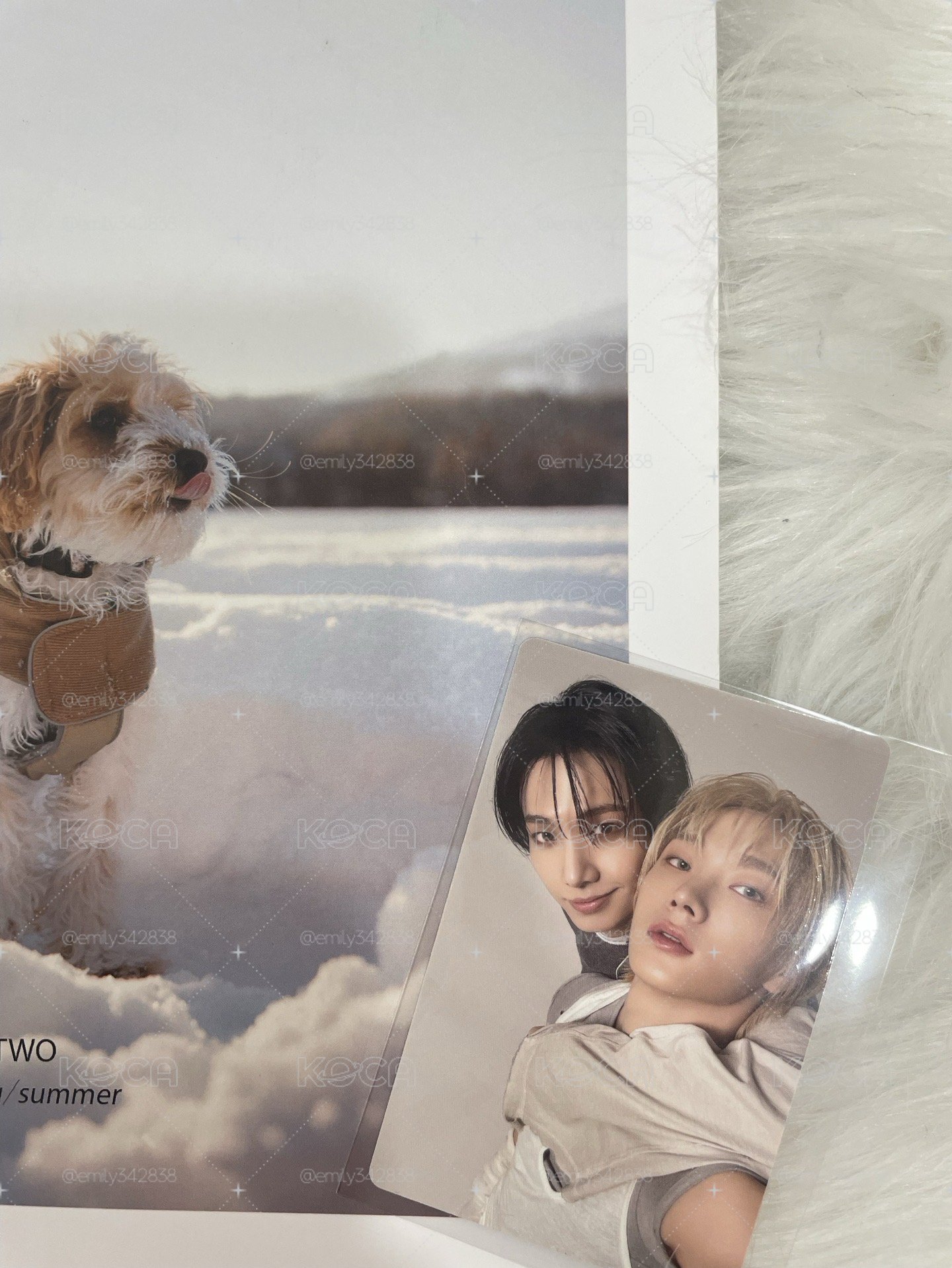 【BND】🐈🐶home pb專輯卡
