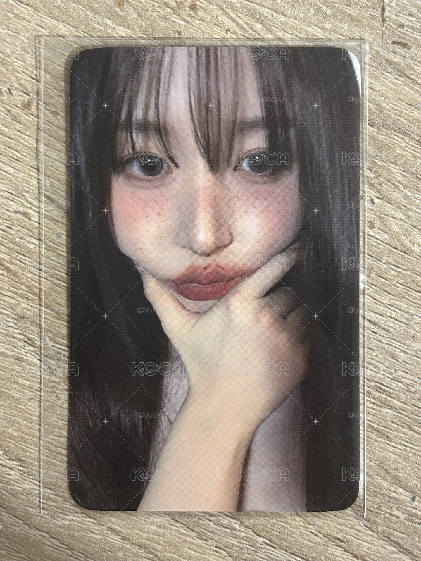 藍情 fans預售嫄