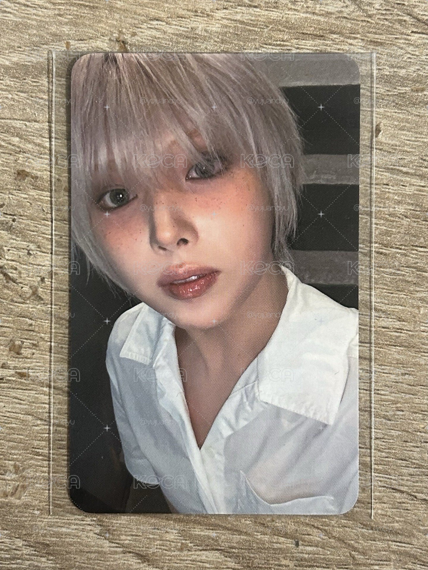 藍情 fans預售友