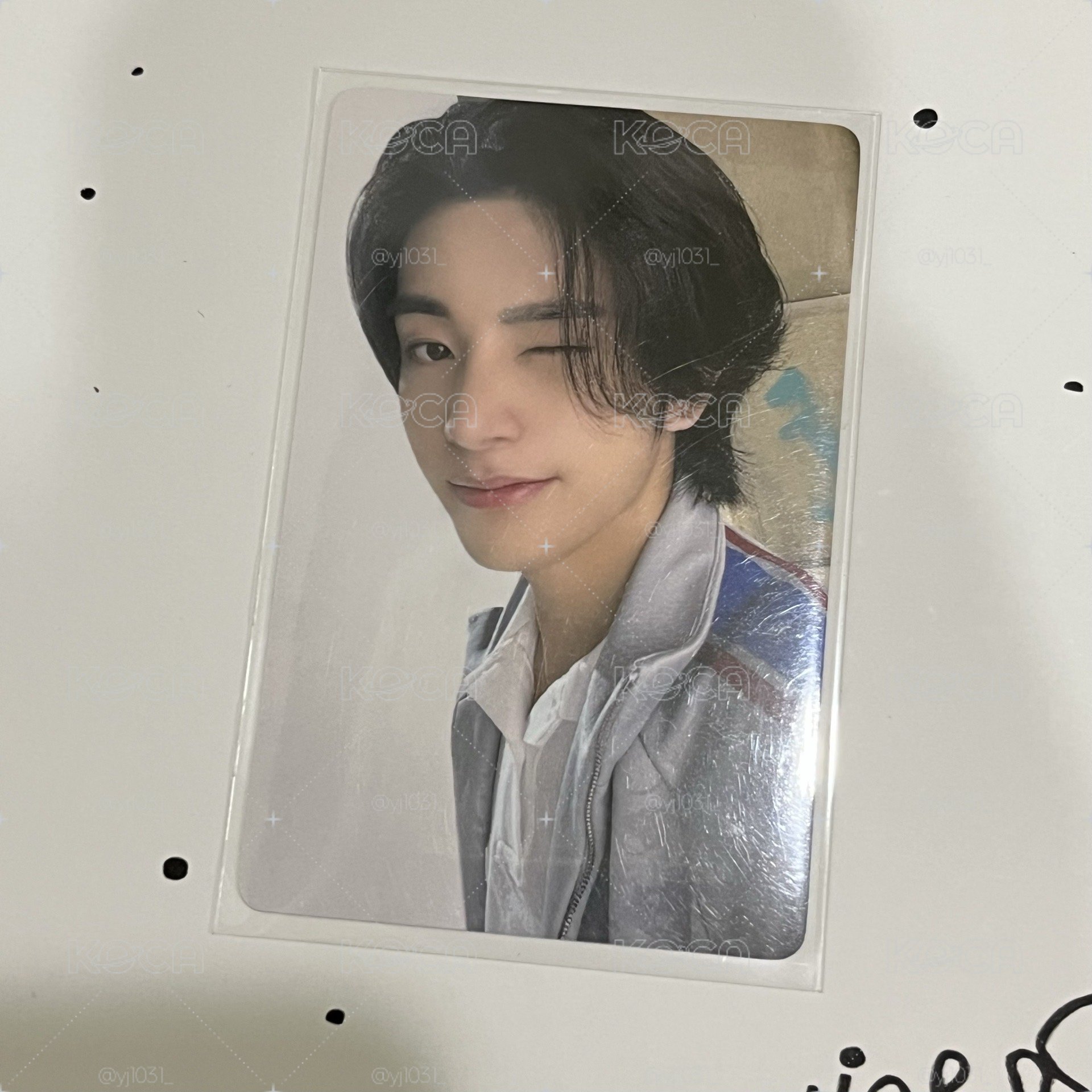 wink狗狗