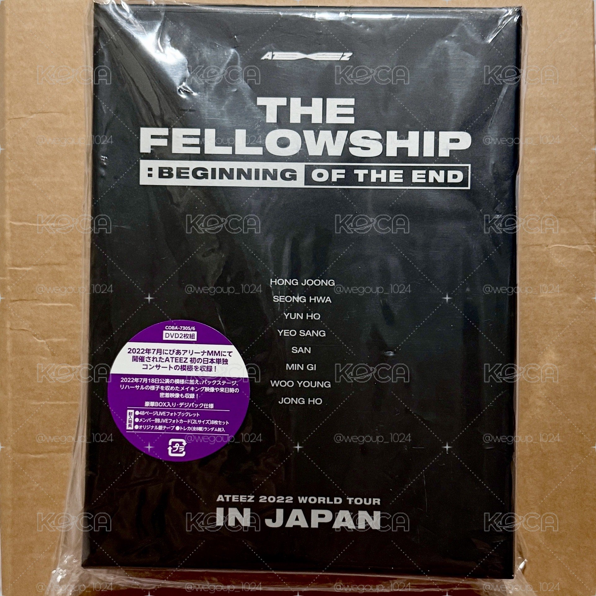 [DVD] Beginning of the End JAPAN