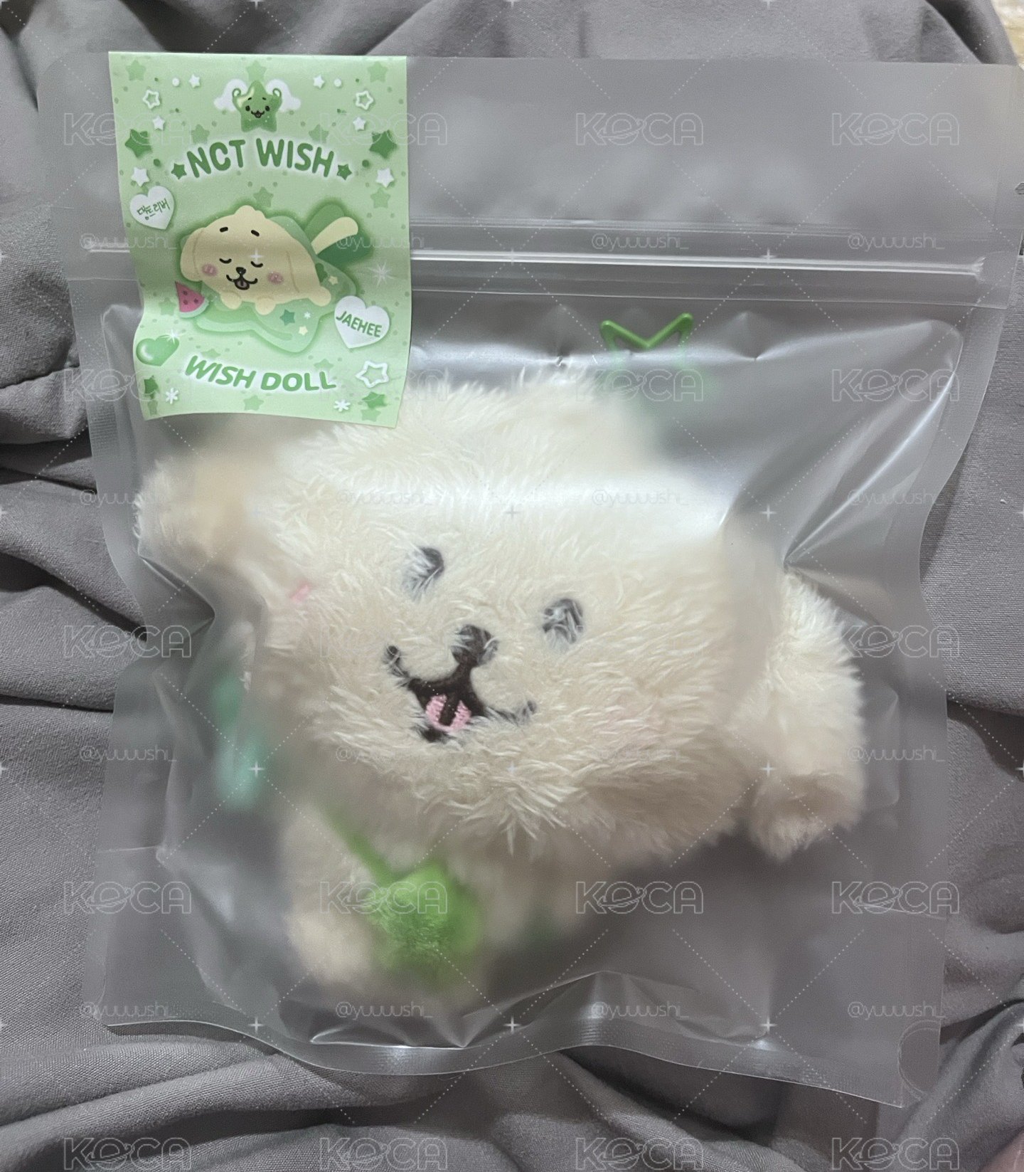 二販未拆 叮特里原皮 wishdoll
