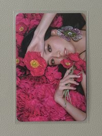 花海2