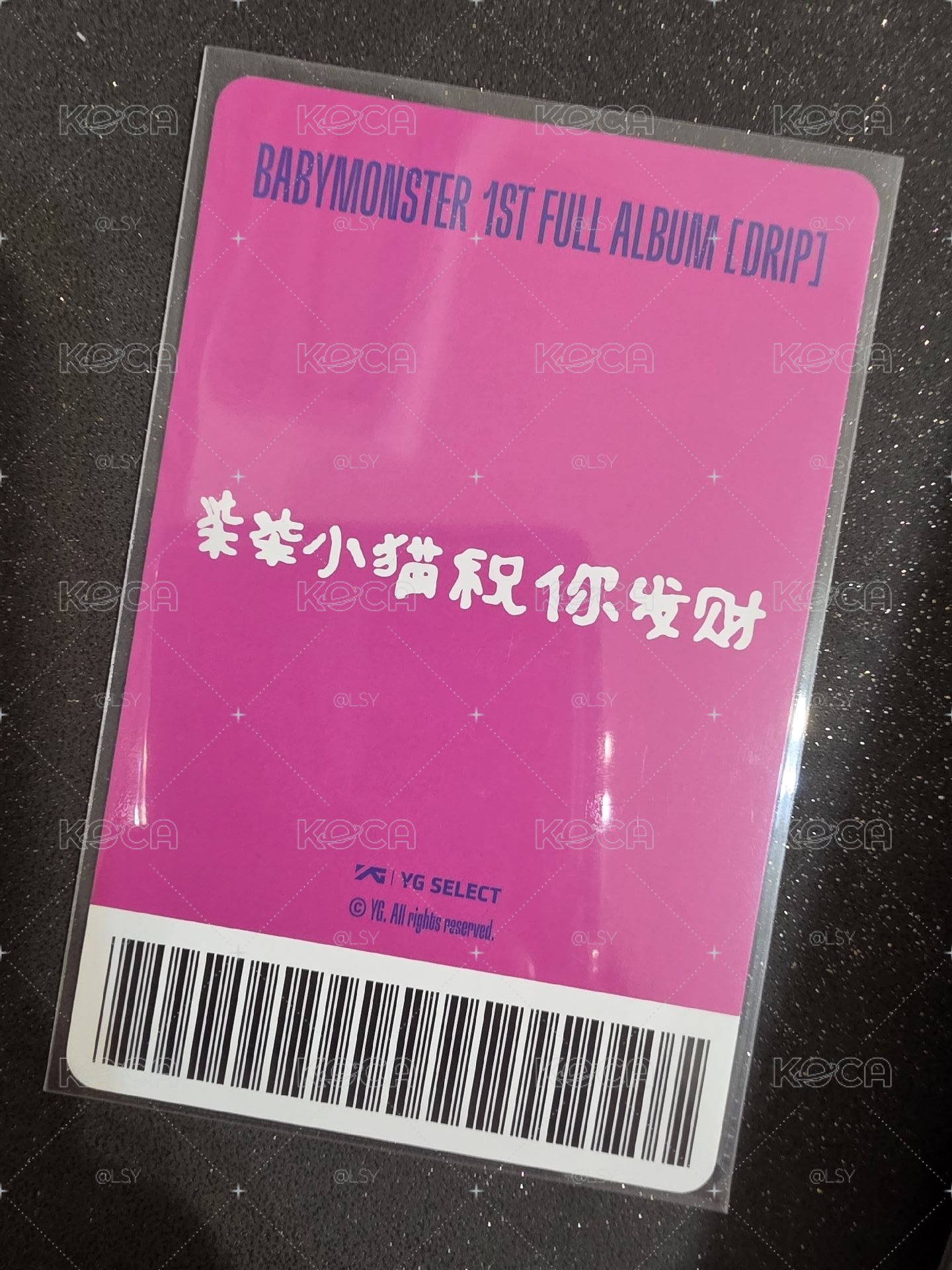 中區柒 柒柒小貓祝你發財