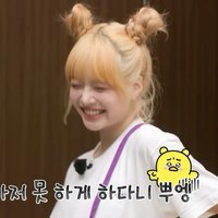 本採忙採🐣